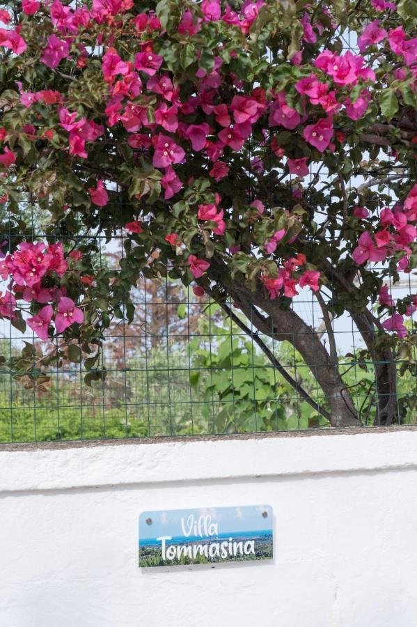 Villa Tommasina Carovigno Dış mekan fotoğraf
