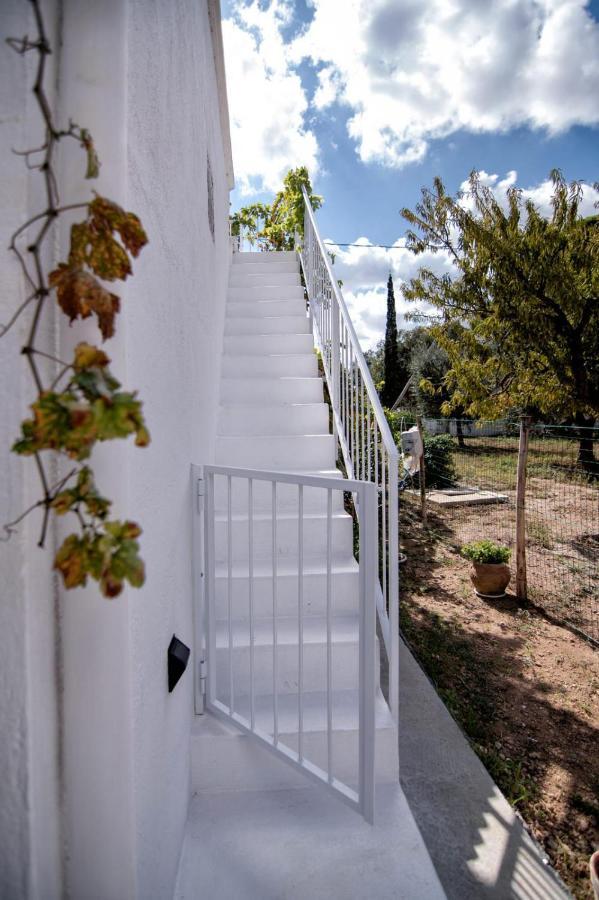 Villa Tommasina Carovigno Dış mekan fotoğraf