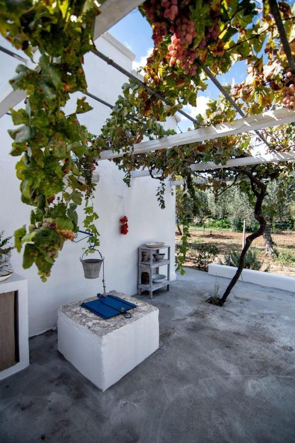 Villa Tommasina Carovigno Dış mekan fotoğraf